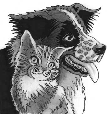 Dog and Cat assistance fund